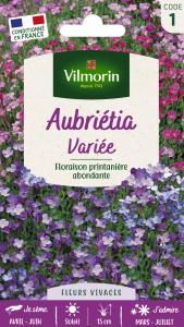 Aubriétia Variée